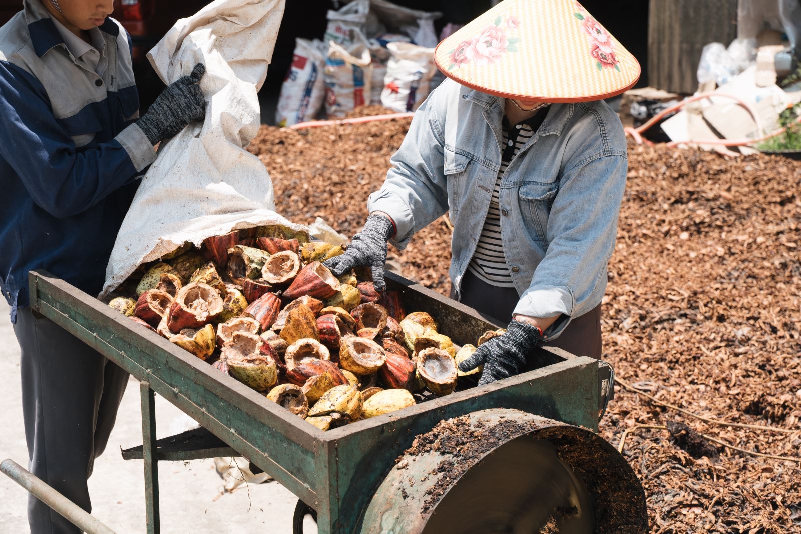Chú thích ảnh