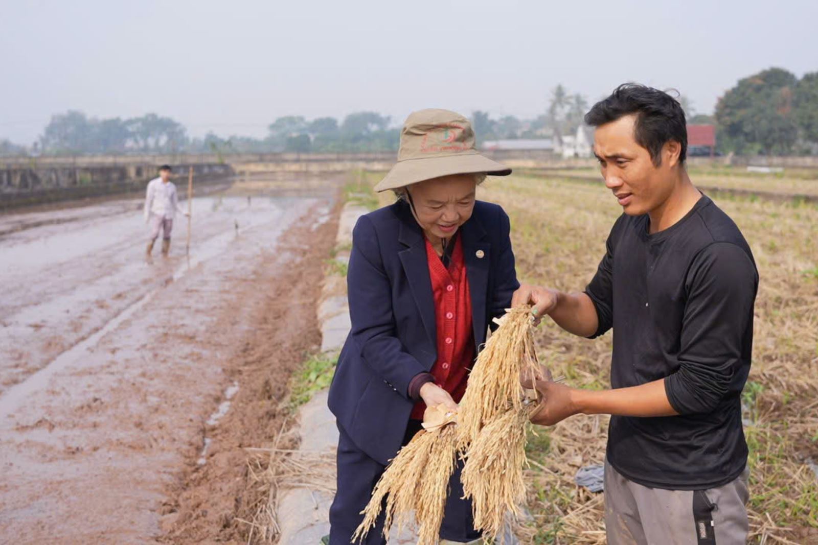 Chú thích ảnh