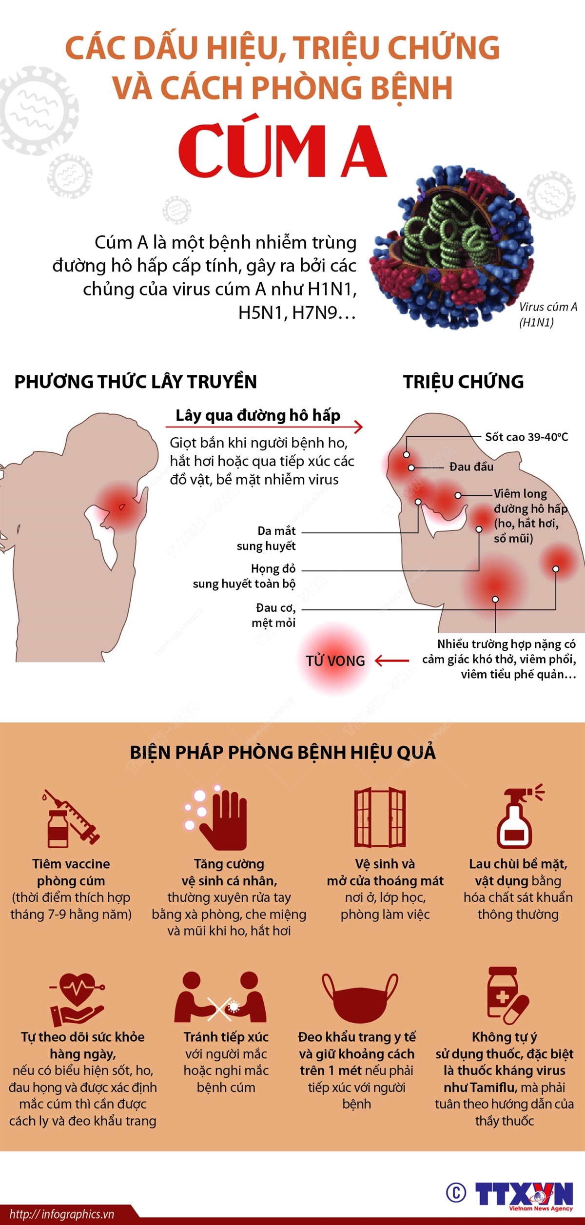 Triệu Chứng Ăn Không Tiêu Đầy Hơi: Nguyên Nhân, Dấu Hiệu Và Cách Khắc Phục Hiệu Quả